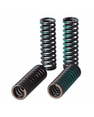 TRW clutch spring kit