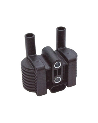 Bobina de encendido 31656-07