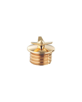 Screw In Spinner Gas Cap...
