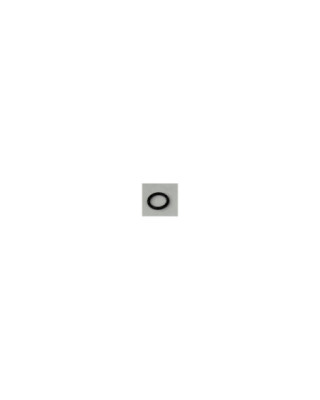 O-Ring Drain Plug, GEN IV...