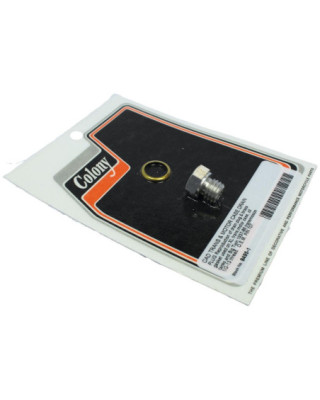 Drain Plug and Brass Gasket...