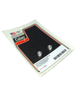 Fork Slider Drain Plugs...