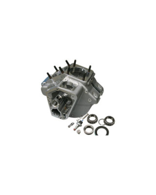 Shovelhead Stock Bore...