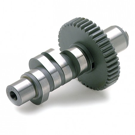 Andrews, J grind / .405" lift camshaft 48-65 Panhead 66-69 Shovelhead (NU)
