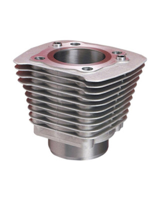 Cylinder for Evolution...