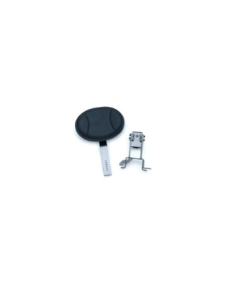 Plug-N-Go Driver Backrest