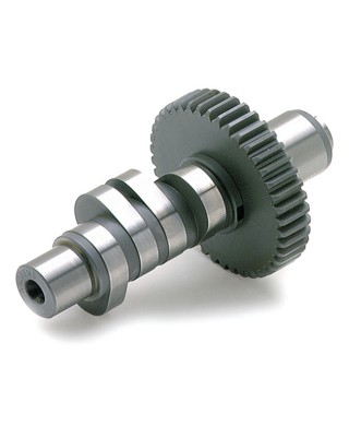 Andrews, EV46 cam .495" lift 84-99 Evo Big Twin (NU)