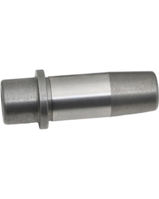 Valve Guide, Intake +0.001,...