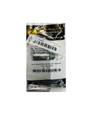 Valve Guide, Intake +0.002,...