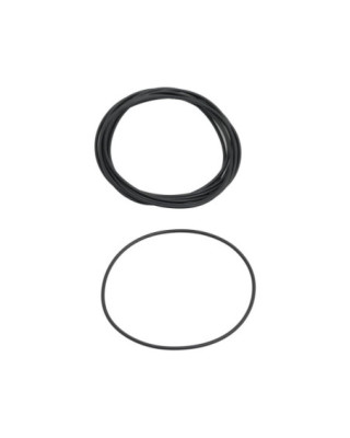 Cylinder Base Gasket...
