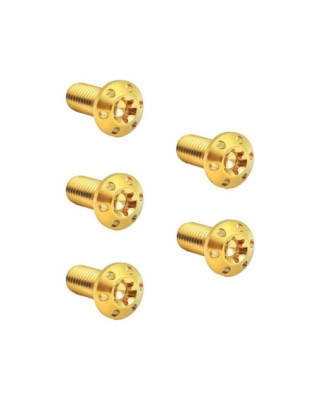 Titanium Rotor Bolt Kit For...