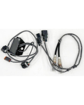Auto Tune Module Only for...