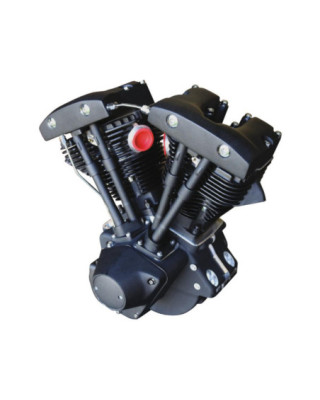 Motor Shovelhead Blackout...