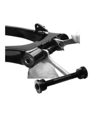 Swingarm Cleveblock...