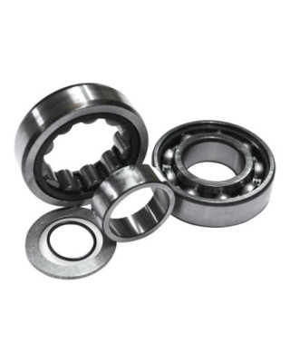 Roller Cam Bearing