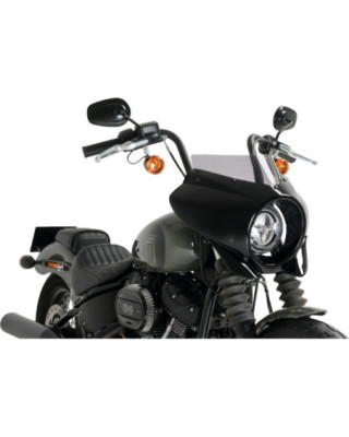 Mirage Semifairing Screen...
