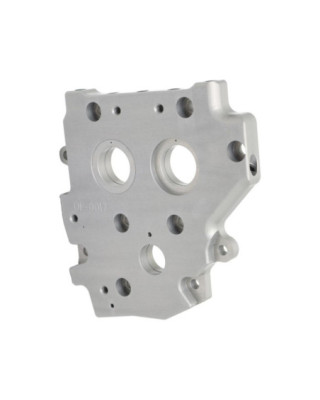 Camplate (Oil Pump Backing...