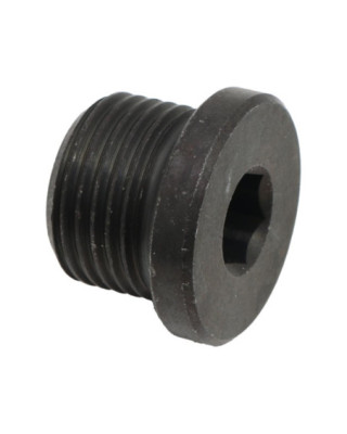 Hex Socket Plug