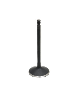 Stock Intake Valve 1.805...