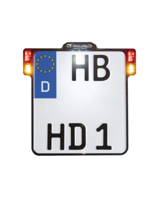 ALL-INN 2.0 License Plate...