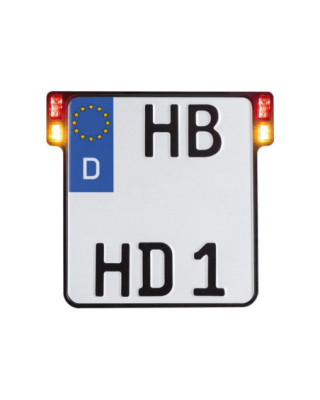 ALL-INN 2.0 License Plate...