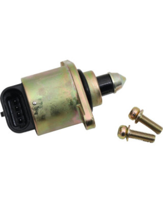 Idle Air Control (IAC) Unit