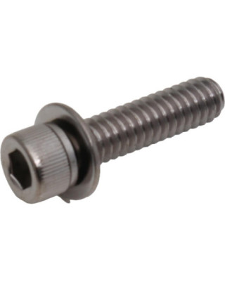 Screw w/Washer, 1/4-20x1...