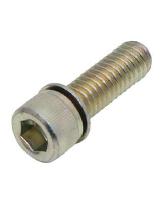 Screw w/Washer, 5/16-18x1...
