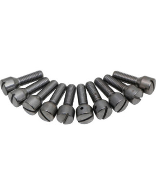 Chrome Vent Screw