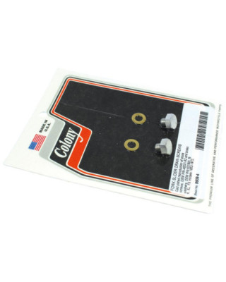 Fork Slider Drain Screws...