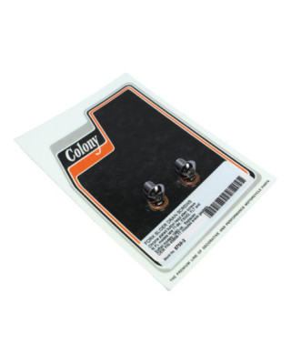 Fork Slider Drain Screws...