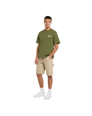 Dickies Vernal t-shirt cypress