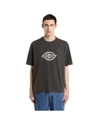 Dickies Plainville t-shirt...