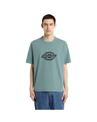 Dickies Plainville t-shirt...