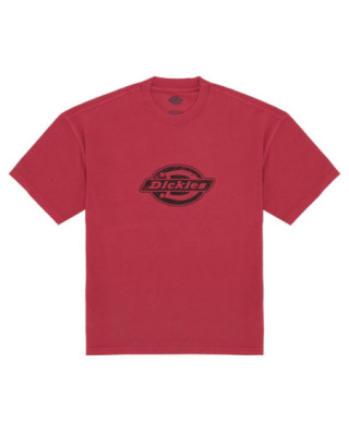 Dickies Plainville T-Shirt,...