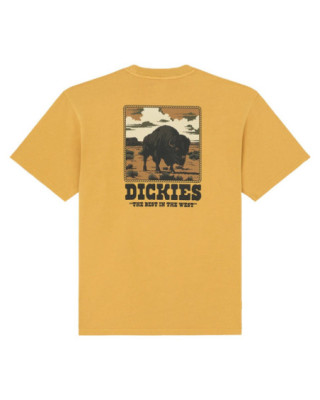 Dickies Darrtown T-Shirt...