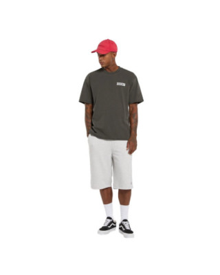Dickies Buchtell t-shirt black