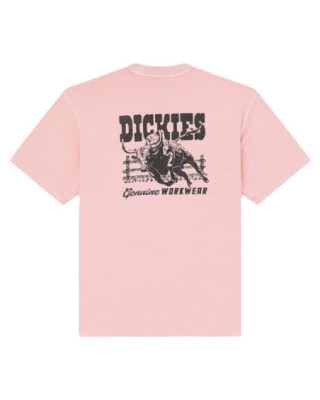 Dickies Buchtell T-Shirt...