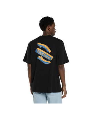 Dickies Thornville t-shirt...