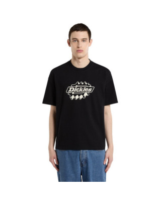 T-shirt Dickies Irondale noir