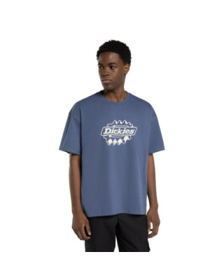Dickies Irondale t-shirt...
