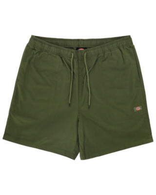 Dickies Pelican Rapids...