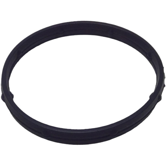 Throttle Body Seal