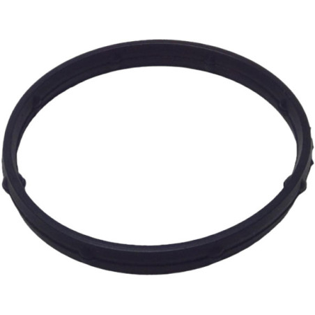 Throttle Body Seal