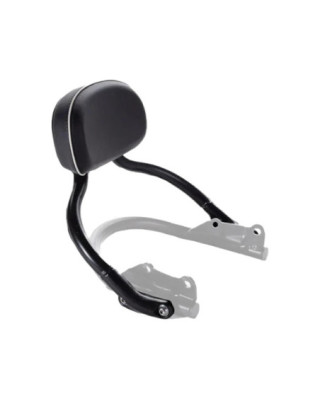 Legacy Edition Backrest and rear Rail Assy