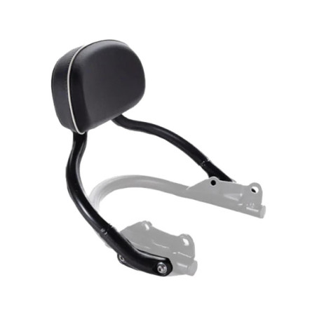 Legacy Edition Backrest and rear Rail Assy