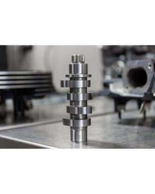 S&S, M8 chain driven HPT542...