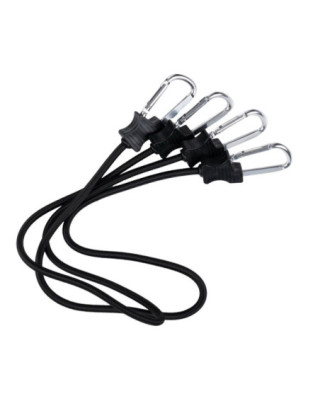 Army Surplus Carabiner...