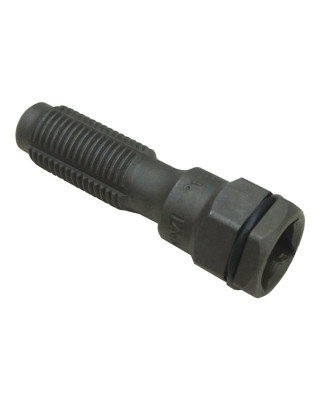 Lang, 12mm spark plug thread cleaner Univ.