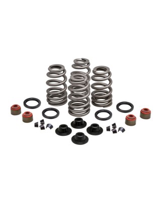 KPMI BEEHIVE VALVE SPRING KIT .630 LIFT 05-17(NU)Twin Cam 04-20 XL 08-12(NU)XR1200 03-10(NU)Buell XB